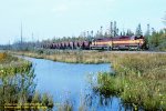 WC 7507-7504, Sore-1, Sawmill Creek, Little Lake, MI. 10-11-2003